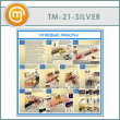    (TM-21-SILVER)